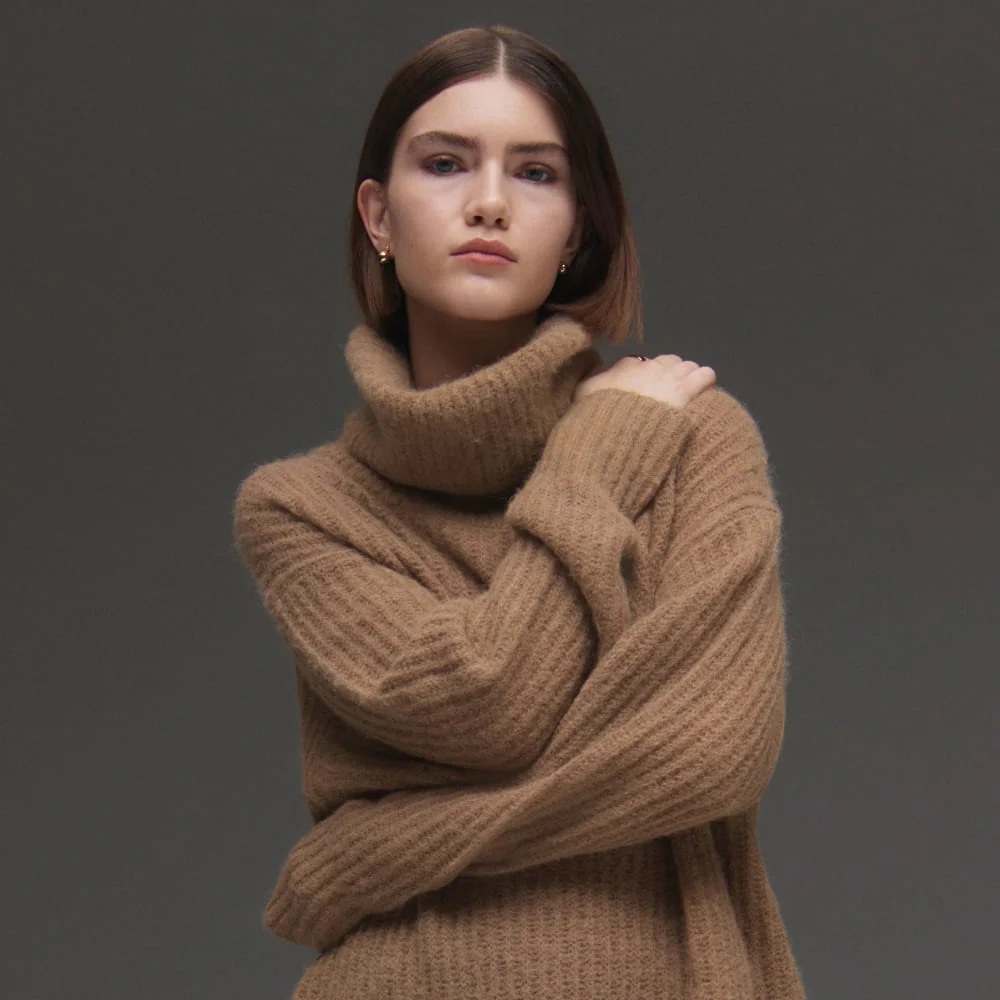 *NWOT* Everlane Alpaca Wool Blend Oversized Turtleneck Knit XS in Cappuccino